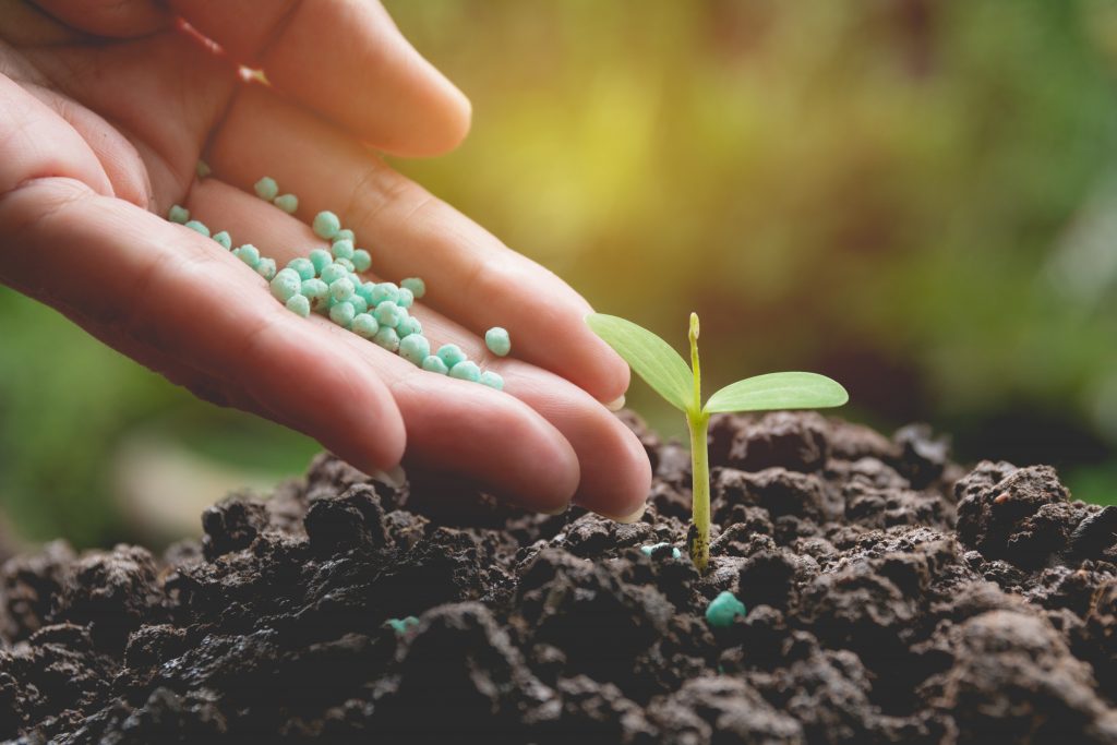 fertilizer-230108002.jpg